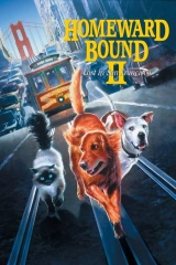 Yuvaya Dönüş 2: San Francisco'da Kayıp (1996)