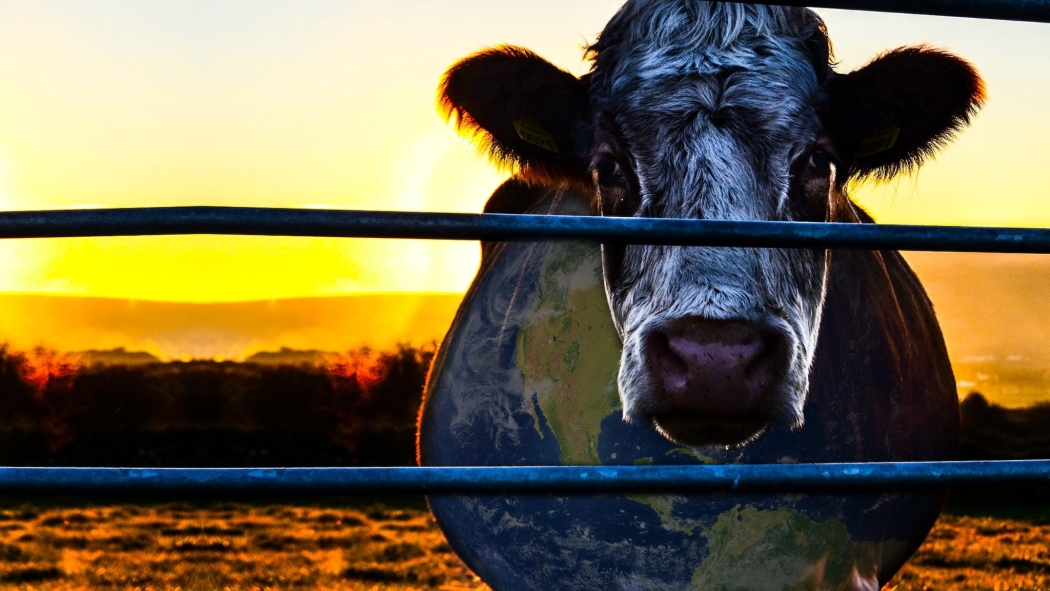 Cowspiracy: Sürdürülebilirliğin Sırrı izle